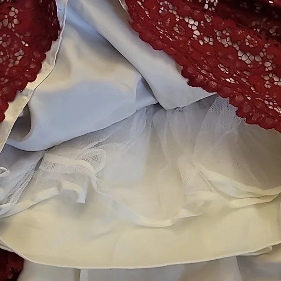 Jona Michelle Red Lace Party Dress Size 5, Girls - Picture 4 of 7